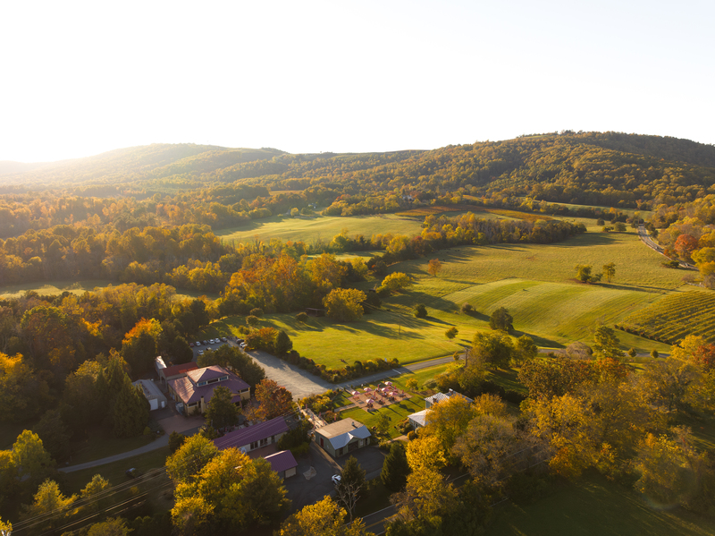 Welcome to Jefferson Vineyards: Charlottesville VA Winery at Its Finest