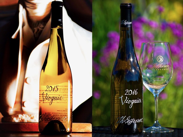 JEFFERSON VINEYARDS MAKES HISTORY WITH VIRGINIA’S STATE GRAPE