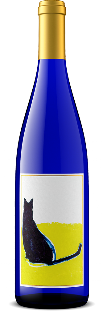 Vin Blanc 2021