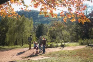 a family walks the path an Monticello under a tree branch aglow with fall leaves.